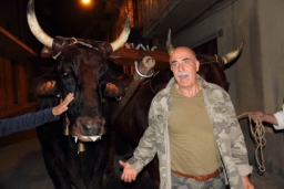 Calatafimi - Segesta489.JPG